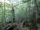 La travessa dels Pirineus per la A.R.P.