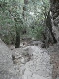 Voltetes per P.N. de Sant Llorenç del Munt i Obac