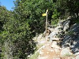 Volta a Sant Aniol de Aguja