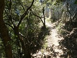 Volta a Sant Aniol de Aguja