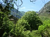 Volta a Sant Aniol de Aguja