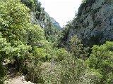 Volta a Sant Aniol de Aguja