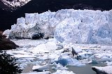 Patagonia667