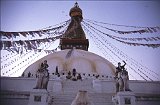 Everest95  (936)