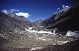 Everest95  (446)