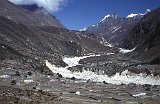 Everest95  (447)