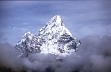 Everest95  (490)