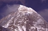 Everest95  (683)