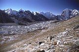 Everest95  (758)