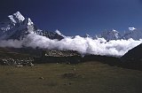 Everest95  (801)