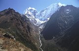 Everest95  (853)