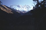 Everest95  (886)