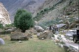 Pakistan-118