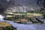 Pakistan-122