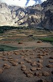 Pakistan-149