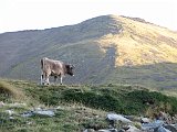 La Travessa del Pirineu pel GR-11