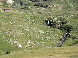 La Travessa del Pirineu pel GR-11