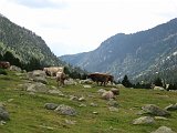 La Travessa del Pirineu pel GR-11