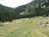 La Travessa del Pirineu pel GR-11