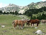 La Travessa del Pirineu pel GR-11