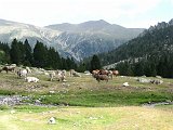 La Travessa del Pirineu pel GR-11