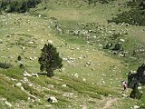 La Travessa del Pirineu pel GR-11