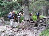 La Travessa del Pirineu pel GR-11